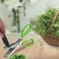 12 Herb scissors »Kräuter-Fee« with cleaning comb