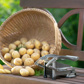 Potato chipper »Pomfri-Perfect«