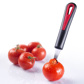 Aushöhllöffel/ Tomatenstrunkentferner »Gallant«